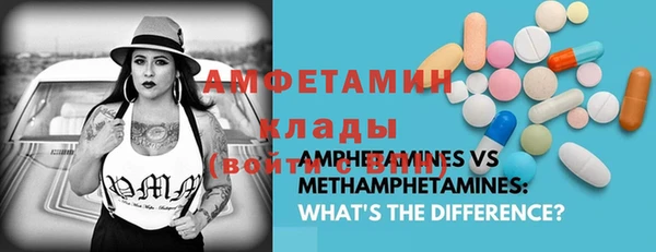 твердый Алексин