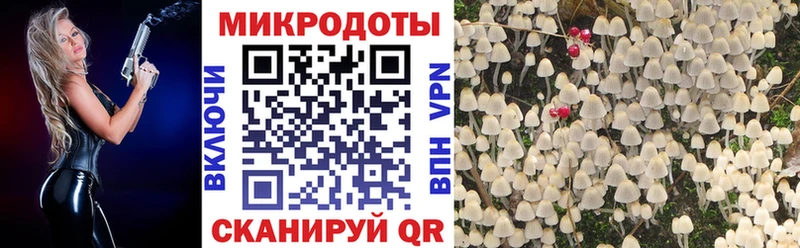 наркошоп  Игра  Псилоцибиновые грибы Cubensis 